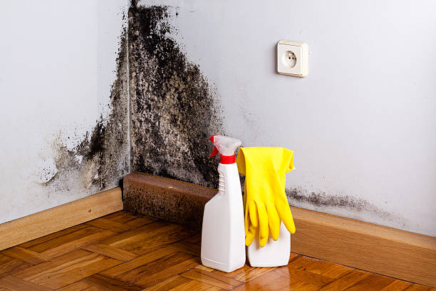 Attic Mold Removal in Stratford Downtown, CT